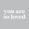 Vinyl Decal // You Are So Loved // Serif Style Font