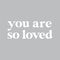 Vinyl Decal // You Are So Loved // Serif Style Font